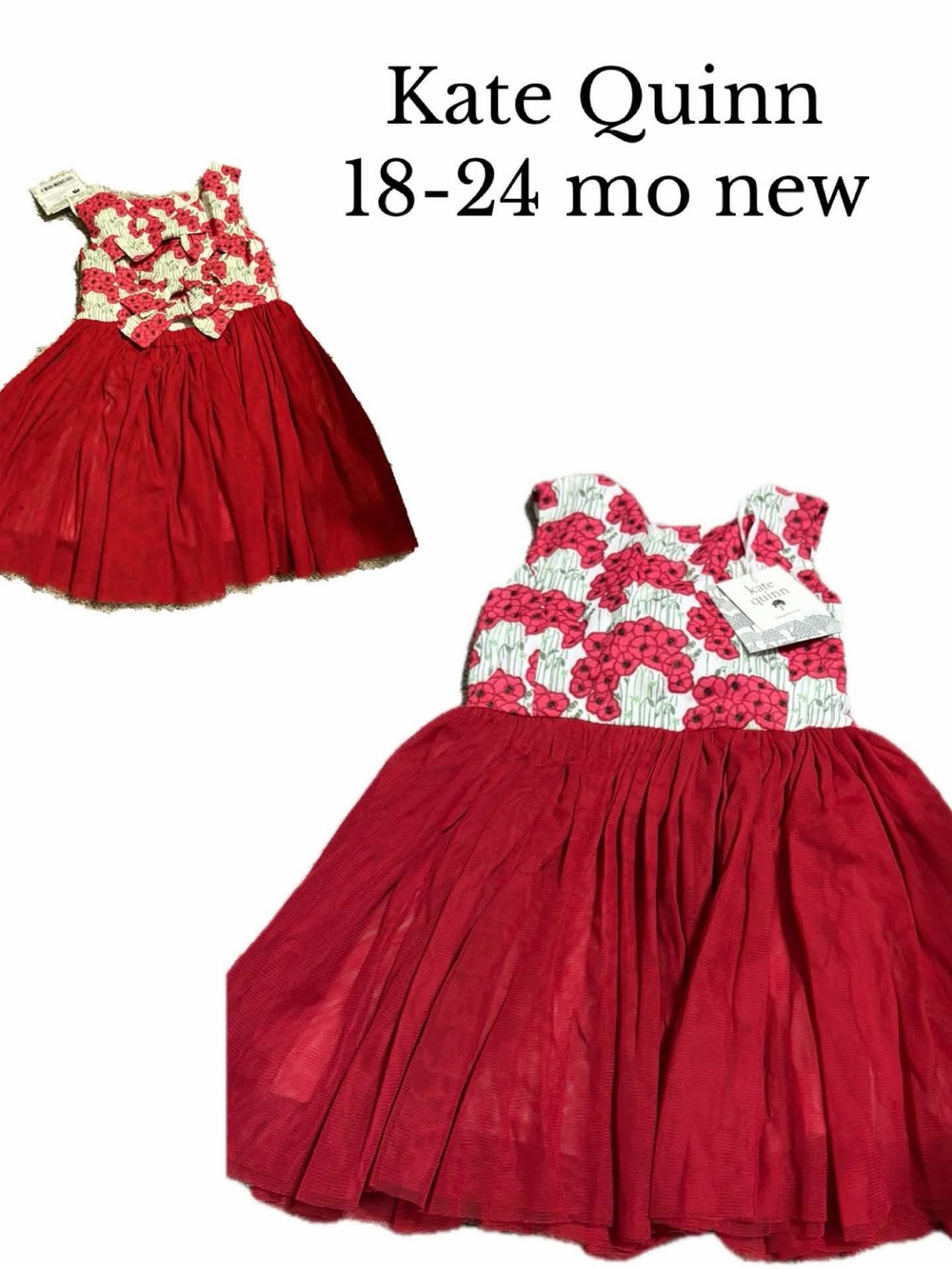 Kate Quinn poppy fields dress